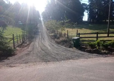 Gravel driveway flanked by wooden fences, trees, sunrise glare