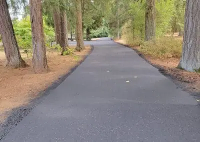 Paved park pathway lined with tall evergreen trees and forested greenery