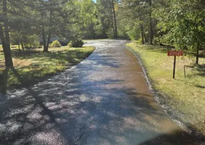 Sunlit winding driveway through pine trees with town address sign N2541